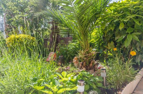 Apartments Bella Vista - image 11