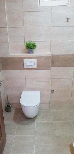 Suite image 7