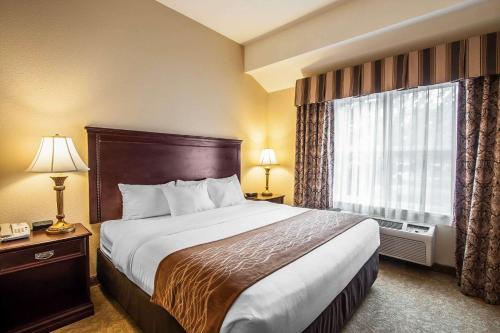 Comfort Inn & Suites - image 9
