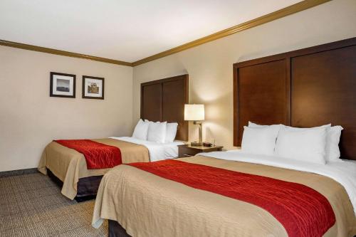 Comfort Inn Castro Valley Room Type - Queen Room with Two Queen Beds - Non-Smoking