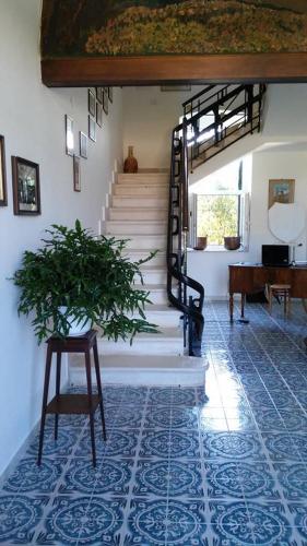 B&B villa Maria photo