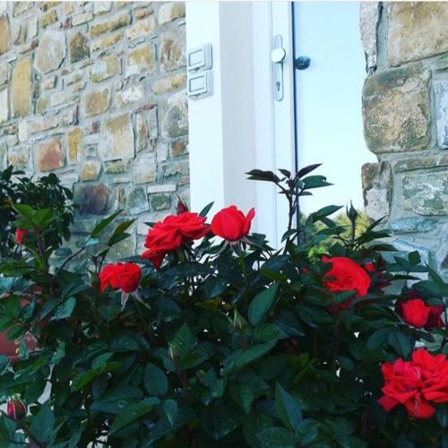B&b Il sogno 2
