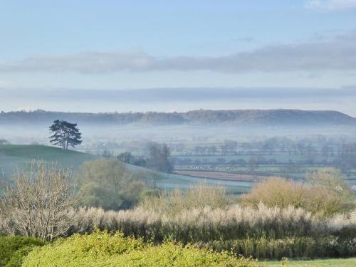 Oakwood Lodge On The Somerset Levels, Shapwick, Somerset