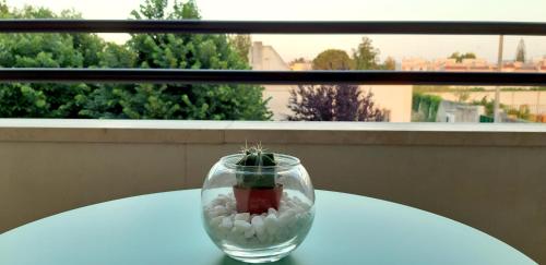 Balcony/terrace, I due salentini in Castromediano