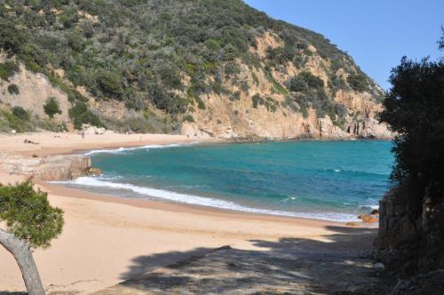 Hapimag Resort Mas Nou - image 13