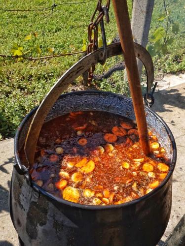  Vineyard Kapolna in Szigetvár