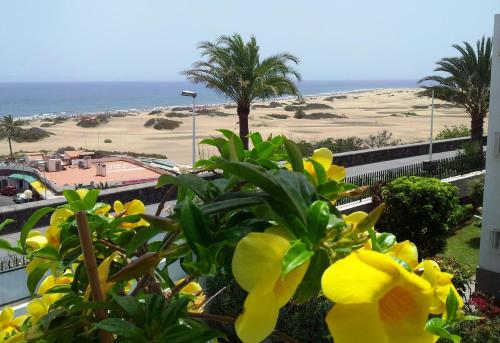 Apartamentos Don Palomón - image 2