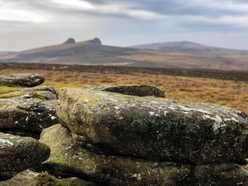 Haytor Court, Haytor, Dartmoor