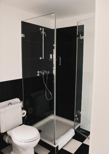 Hotel Palmenbad - image 14