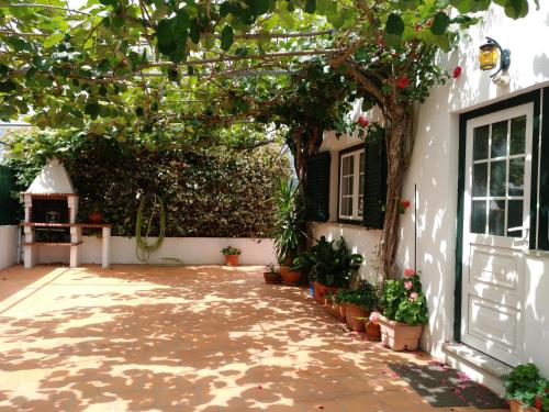  Armamar Village House in Armamar