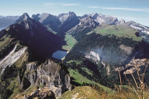 Weissbad Lodge - main image