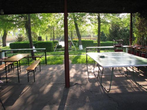 Спорт та розваги, Camping nr 61 in Ельблонг