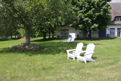 Utsikt, Landhotel Teichwiesenhof in Oldenburg i Holstein