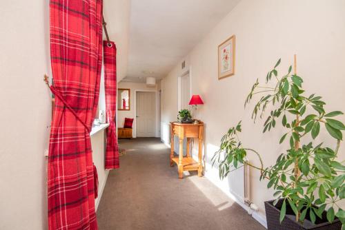 Black Rock Cottage - image 8