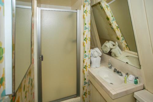 Cozy Bear Cottage - image 3