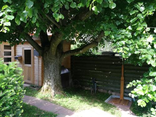 Ferienhaus Glücksmoment - image 10