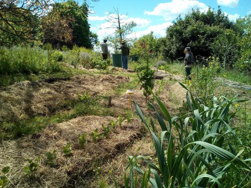 Kert, Ricouch, chambre d'hôtes et permaculture (Ricouch, chambre d'hotes et permaculture) in Oloron-Herrere