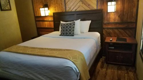 1 queen bed