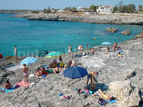 Anima del Mare