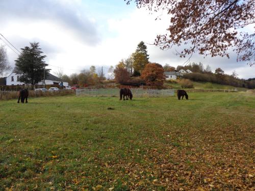  Brasserie-Hôtel Au Stop in Suxy