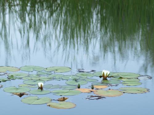Casa de Campo Vale do Asno
