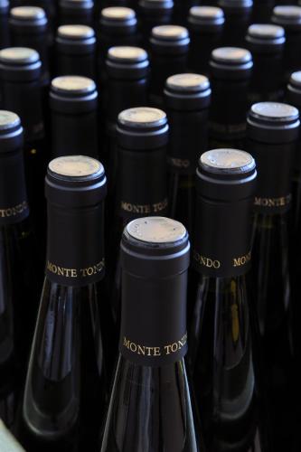 Monte Tondo Winery