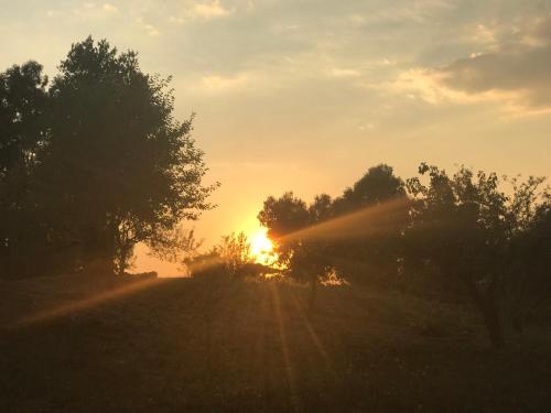 La villetta dei sogni nel Parco, Řím (fotografie 3)