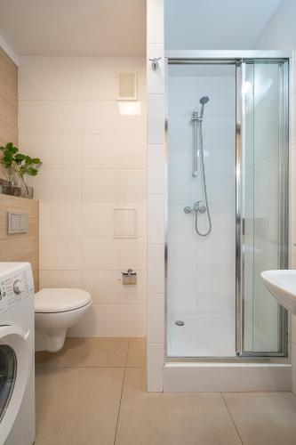 Apartament 24 AbsyntApart Rynek Wrocław, Wrocław (photo 10)