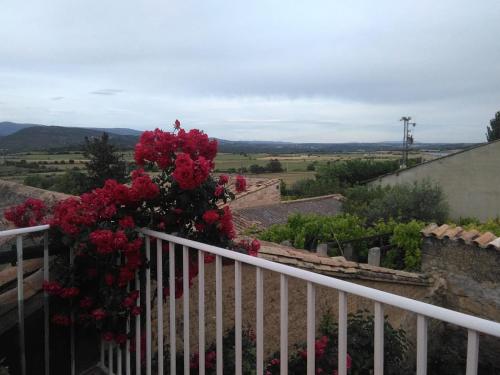 Casa Larrosa rural en Sierra de Guara