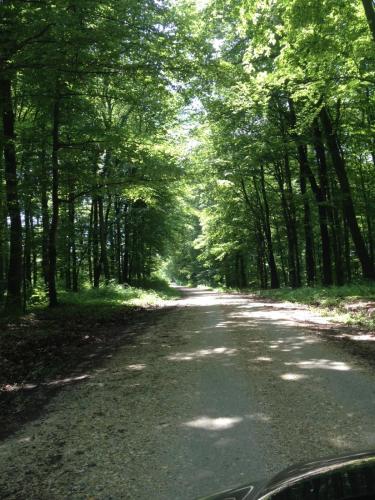  U kleti kod Štefa, Ferienwohnung in Subotica Podravska