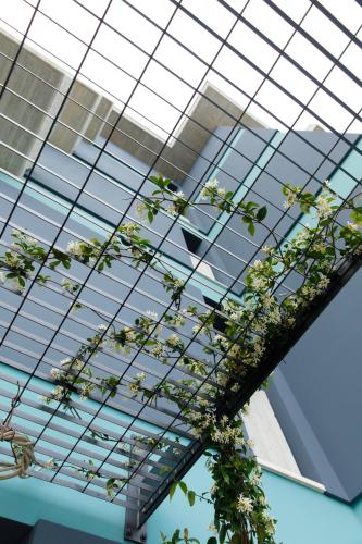 Buzë Boutique Hotel