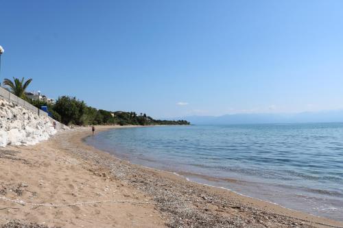 5 meters from the beach