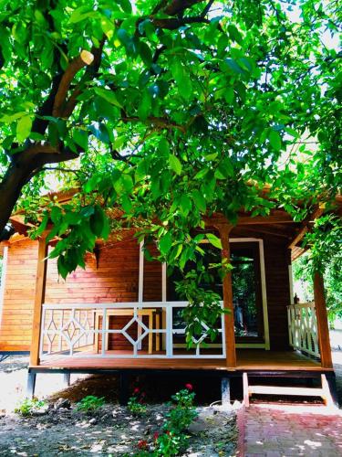  Eliz inn Garden in 7982 Antalya