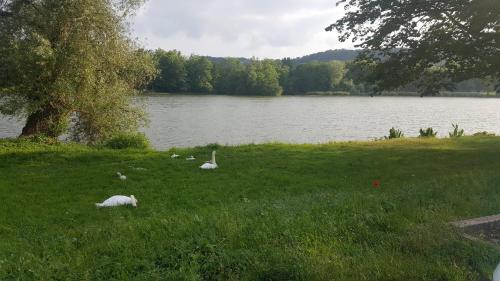 Ferienhaus am Teich, Rottleberode Latest 2024 Rates
