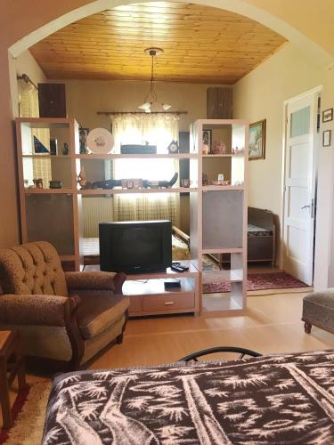 Electra's Guesthouse gîte à louer Liatsaíika