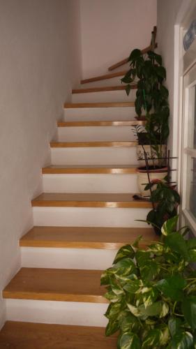  Apartments Jakova Dudana 10 in Makarska