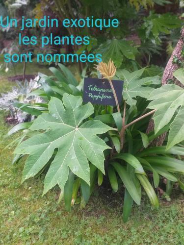 Un Jardin en Pente Douce