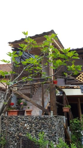 卡萨德奥赛鹏特杜瑞拉卡扎尼乡村民宿 卡萨德奥赛鹏特杜瑞拉卡扎尼乡村民宿