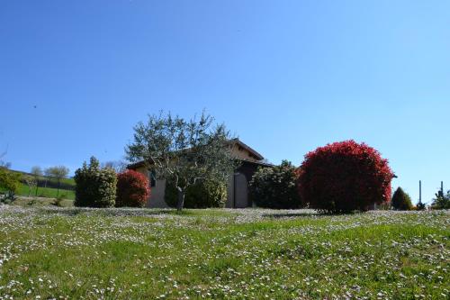 Agriturismo Villa Rosetta