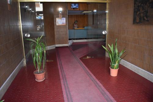Framamired - image 5