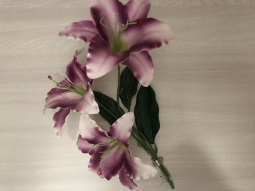  LizArt garden in Rom