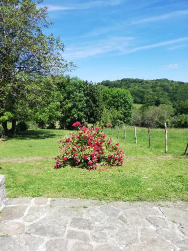 La Petite Maison De La Vallée gîte à louer Tudeils