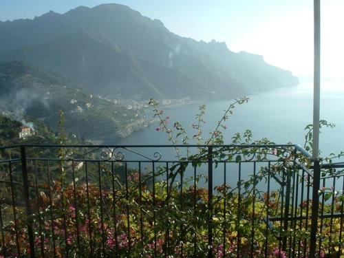 Il Giardino Dei Limoni