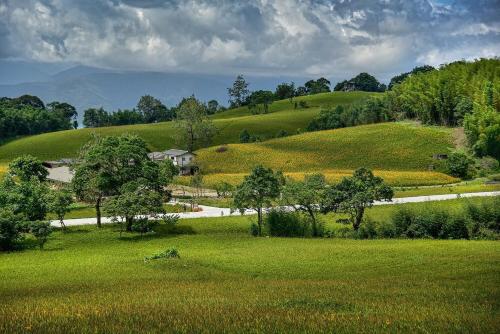 Hong Guo Homestay near Matai'an Wetlands Ecological Park