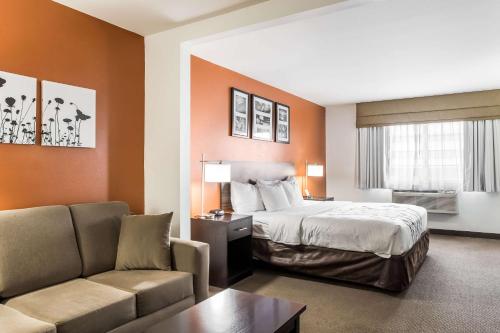 1 king bed, 1 sofa bed
