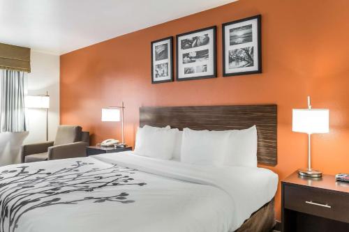 1 king bed
