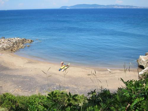 B&B Capo Pero - image 7