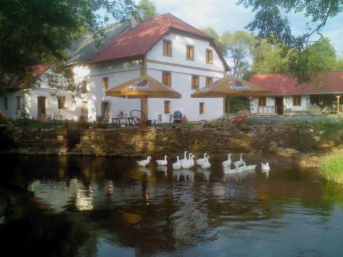 BioFarma Dolejší Mlýn - Hotel - Kamberk