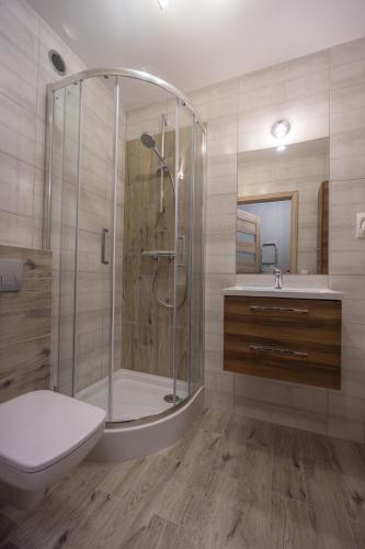 Apartament Diana, Szklarska Poręba (zdjęcie 9)