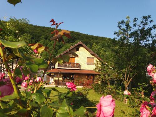 B&B Ličko Petrovo Selo - Blue Moon - Bed and Breakfast Ličko Petrovo Selo